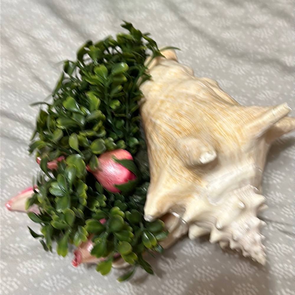 NWT Whelk seashell succulent arrangement, Succulent Gift, Tabletop Decor